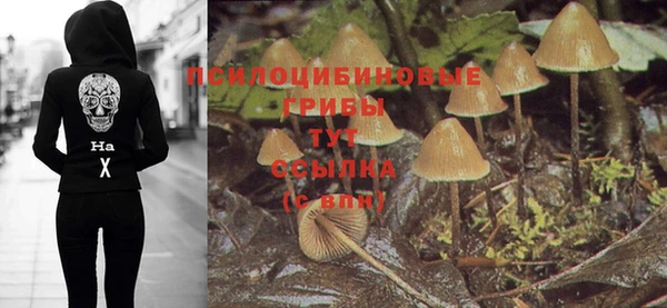 ПСИЛОЦИБИНОВЫЕ ГРИБЫ Белокуриха