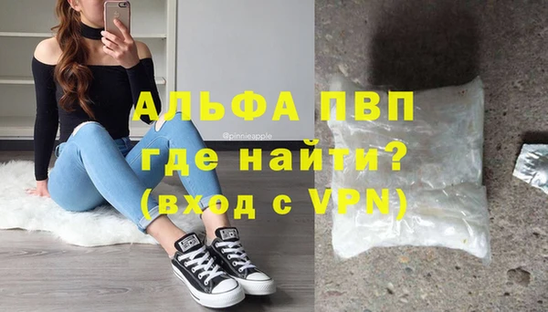 ПСИЛОЦИБИНОВЫЕ ГРИБЫ Белокуриха