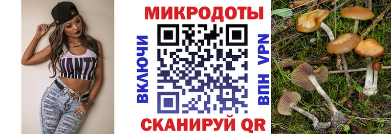Купить закладки  Балей  Галлюциногенные грибы MAGIC MUSHROOMS 